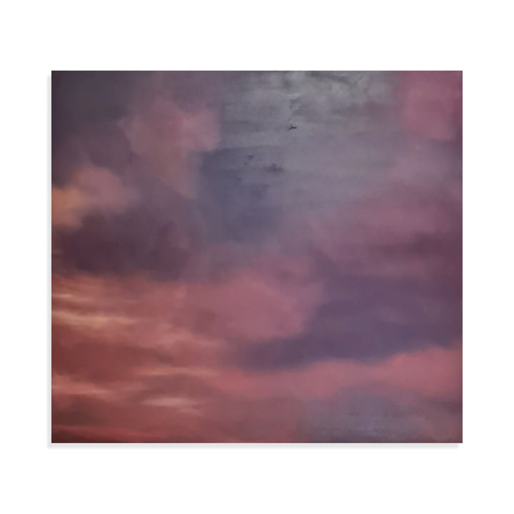 Evening Embers