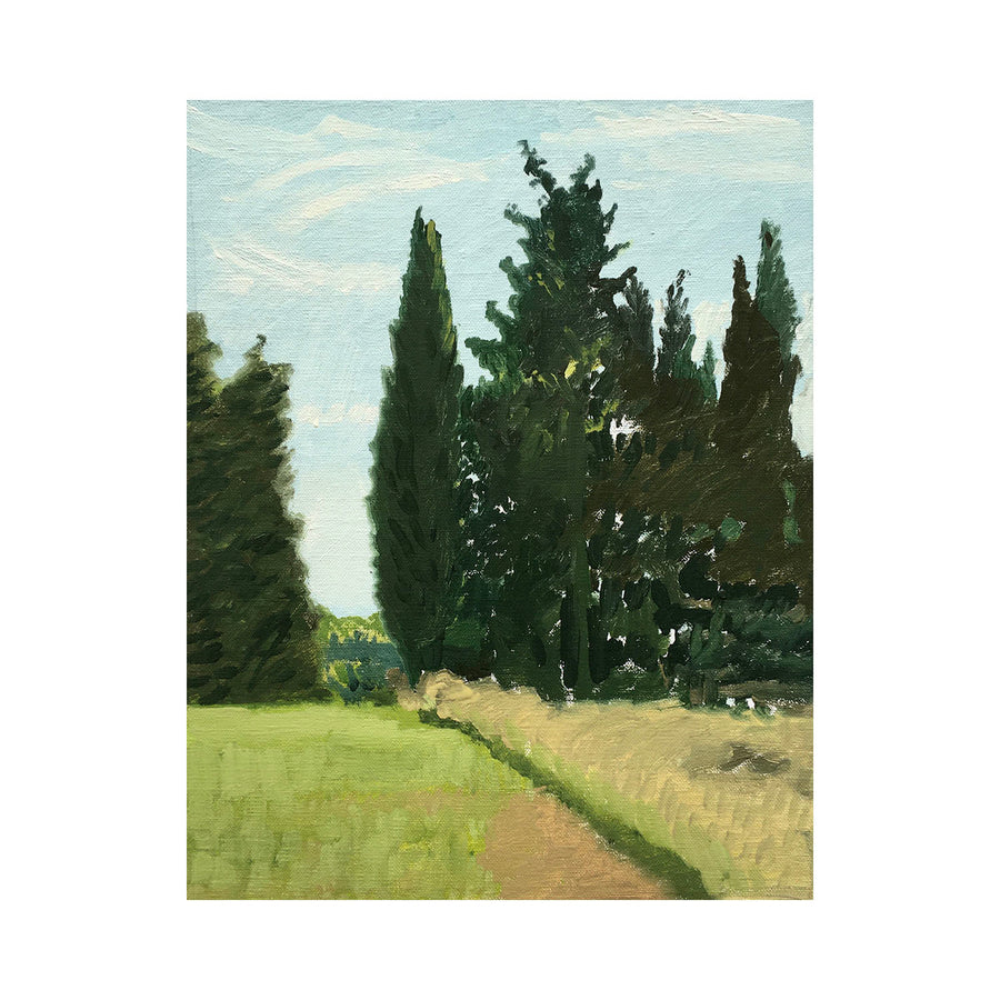 Trees at the end of a Field, Maussane, #3