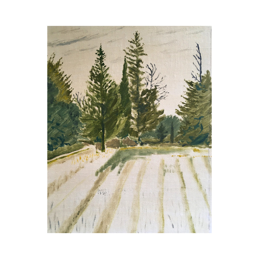 Trees at the end of a Field, Maussane #37