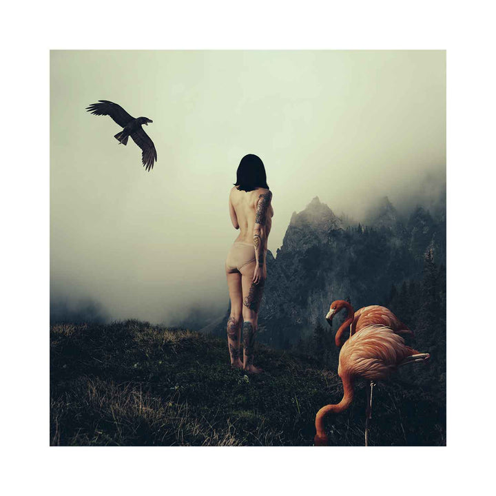 Daniel Anderson is not only an extremely accomplished Photographer, but an entirely intriguing artist. His mind is swarming with imagery that erupts constantly into ever evolving portraiture exploring human identity, emotion and existence.