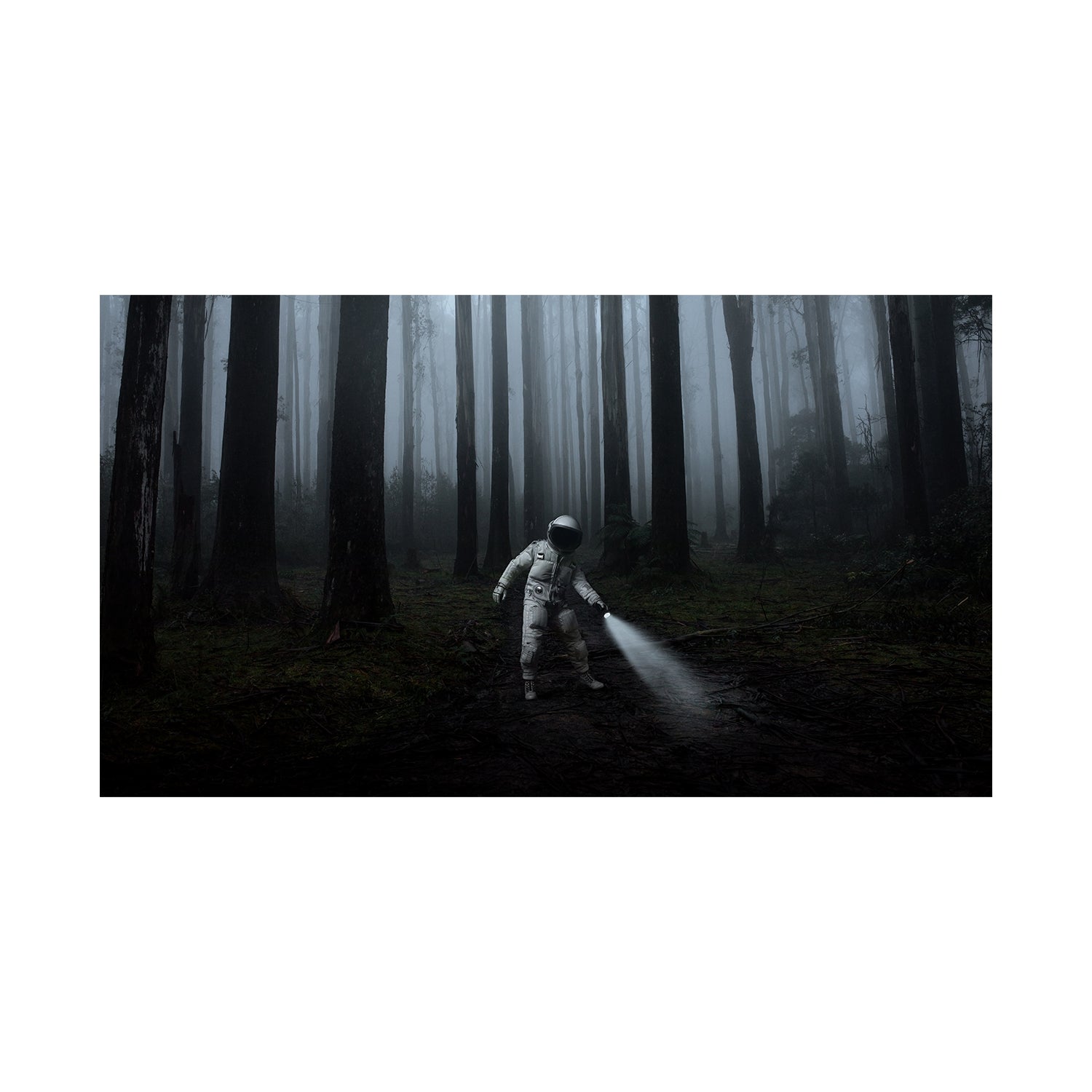 Chasing Patterns – Studio Gallery Group