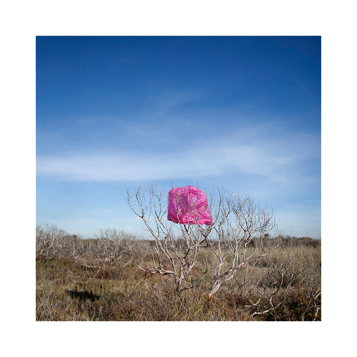 '6' Hands All Over Series