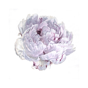 My journey through a life in art has taken me to many places, literally and figuratively. From fine bird illustrations from my origins in Africa, to Australia, and large botanical oil and acrylic paintings on canvas. 