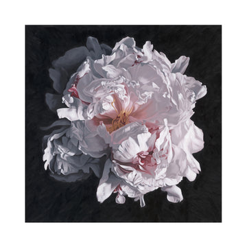 Peony Portrait 0822