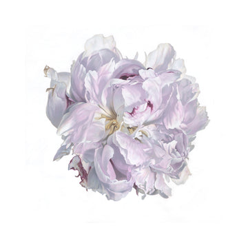 My journey through a life in art has taken me to many places, literally and figuratively. From fine bird illustrations from my origins in Africa, to Australia, and large botanical oil and acrylic paintings on canvas. 