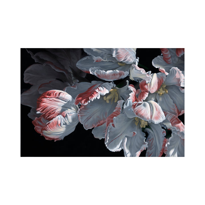 My journey through a life in art has taken me to many places, literally and figuratively. From fine bird illustrations from my origins in Africa, to Australia, and large botanical oil and acrylic paintings on canvas. 