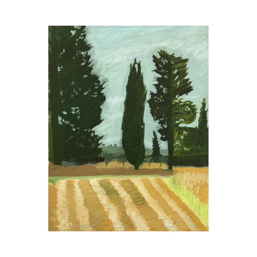 Trees at the end of a Field, Maussane, #1