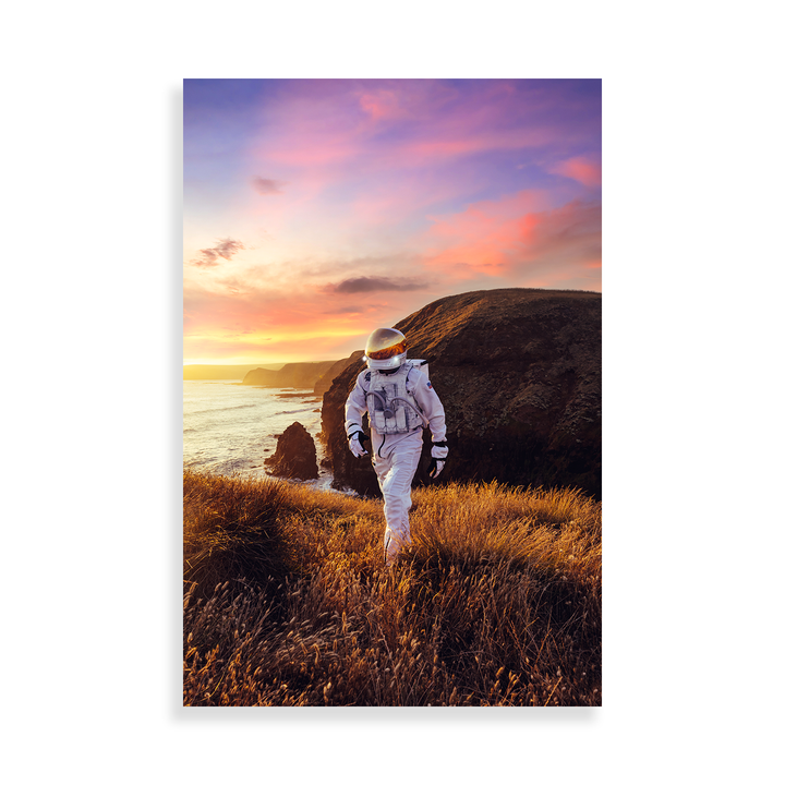 Planetary Perspective